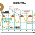 妊活には睡眠が大切です。