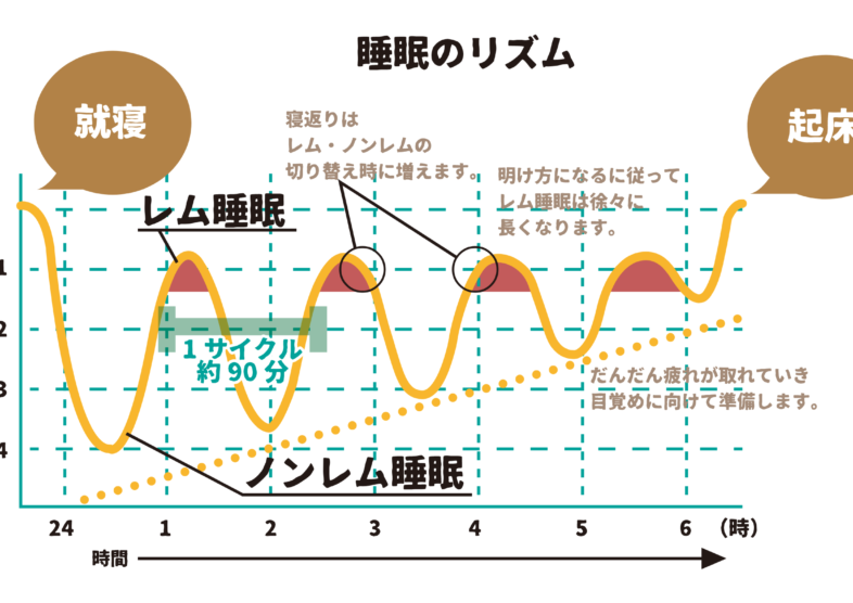 妊活には睡眠が大切です。