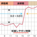 妊活 あなたのご主人は、あなたの“生理”を知らない！