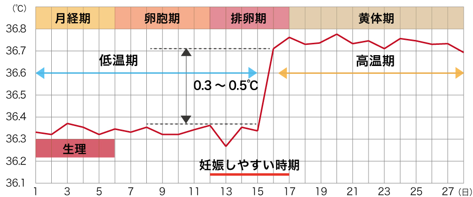 「妊活中の鍼灸施術はどんなタイミングで受けるんですか？」