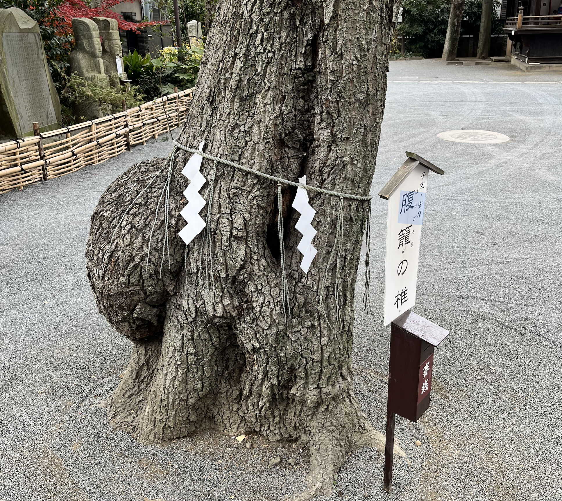 初詣　「七社神社」へ妊娠祈願、安産祈願へ行って来ました。